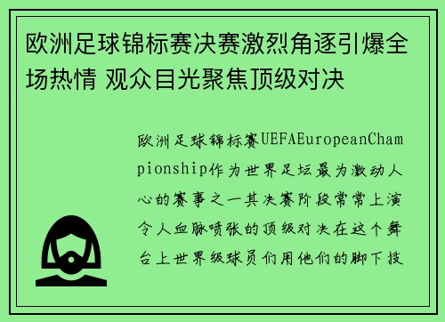 欧洲足球锦标赛决赛激烈角逐引爆全场热情 观众目光聚焦顶级对决