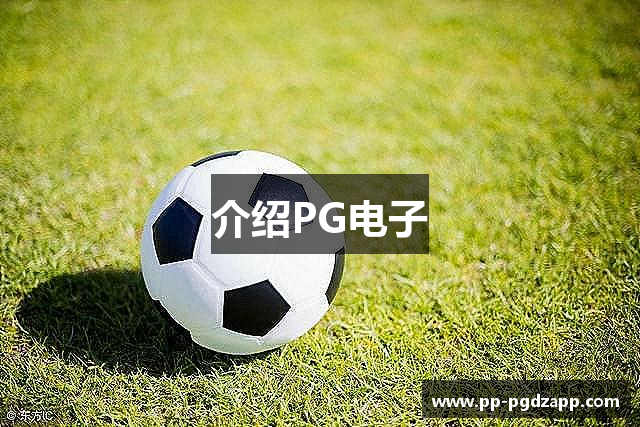 介绍PG电子